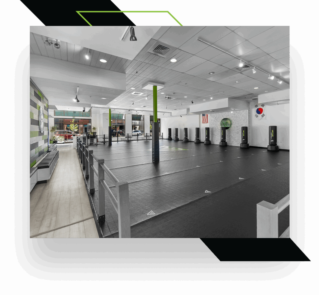 Venture Martial Arts - Central Park
