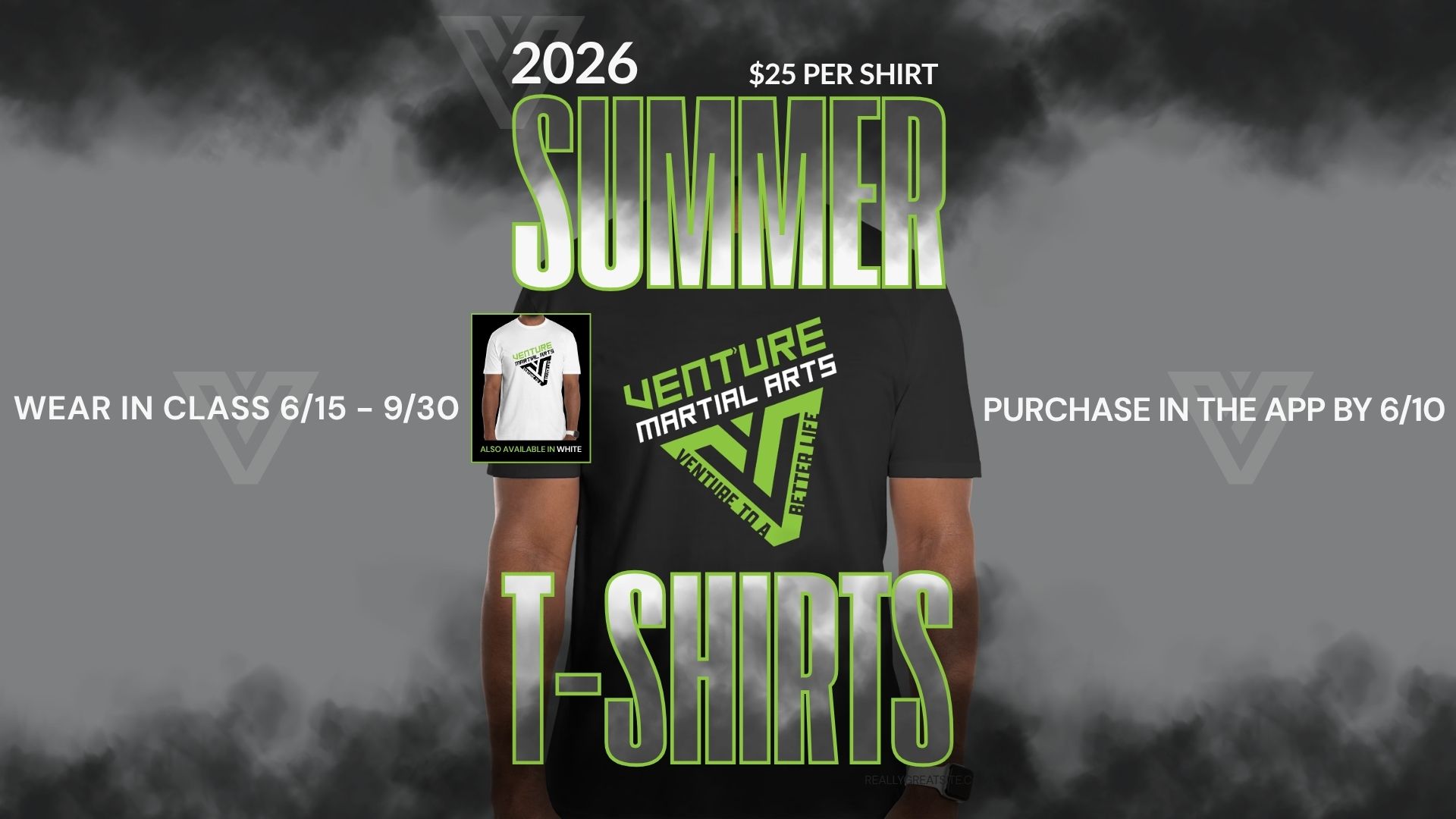 Venture Martial Arts Summer T-shirts for 2026, $25 each - order by June 10th and wear in from June 15th through September 30th