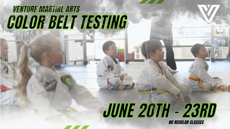 June 2026 Color Belt Testing